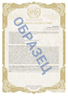 Образец Приложение к СТО 01.064.00220722.2-2020 Жуковка Сертификат СТО 01.064.00220722.2-2020 